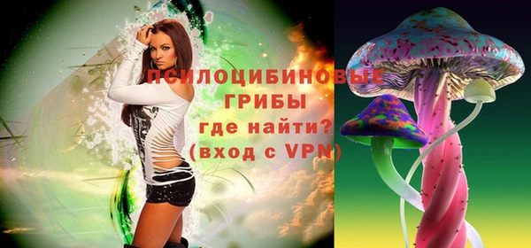 Альфа ПВП Заволжск