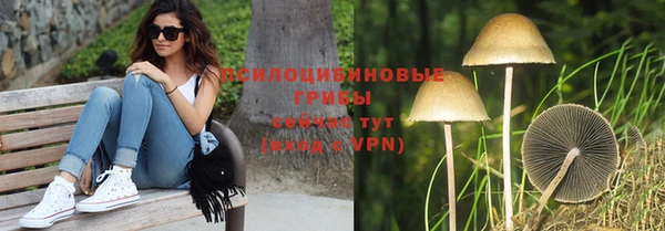 скорость mdpv Заводоуковск