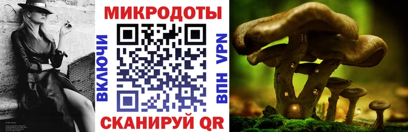 Галлюциногенные грибы мухоморы Торопец
