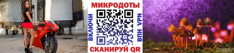 Галлюциногенные грибы Magic Shrooms  Купить где  Торопец 